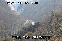 猿花 のカメラ画像