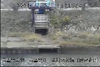 敷地天神橋(愛宕水門) のカメラ画像