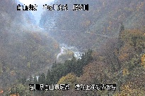 猿花 のカメラ画像