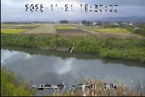 猫橋 のカメラ画像