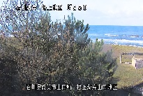 根上海岸 のカメラ画像