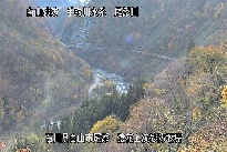 猿花 のカメラ画像