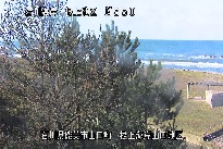 根上海岸 のカメラ画像