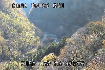 猿花 のカメラ画像