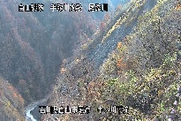 中ノ川下流 のカメラ画像