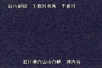 河内谷 のカメラ画像