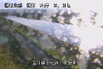 牧 のカメラ画像