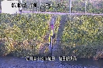 埴田 のカメラ画像