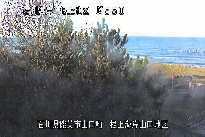根上海岸 のカメラ画像