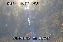 猿花 のカメラ画像