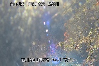 中ノ川下流 のカメラ画像