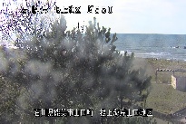 根上海岸 のカメラ画像