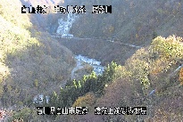 猿花 のカメラ画像