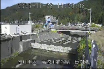 転倒堰 のカメラ画像