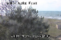 根上海岸 のカメラ画像