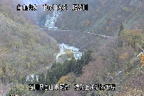 猿花 のカメラ画像