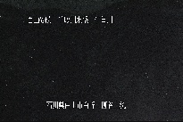 柳谷上流 のカメラ画像