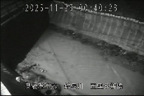 五里分新橋 のカメラ画像