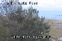 根上海岸 のカメラ画像