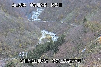 猿花 のカメラ画像