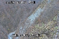 中ノ川下流 のカメラ画像