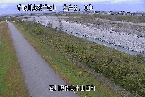 山田 のカメラ画像