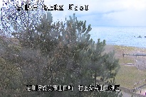 根上海岸 のカメラ画像