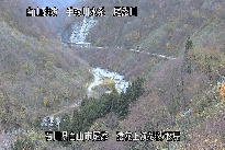 猿花 のカメラ画像