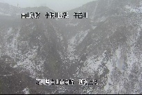 柳谷上流 のカメラ画像