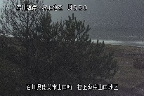 根上海岸 のカメラ画像