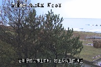 根上海岸 のカメラ画像