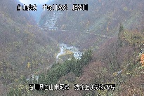 猿花 のカメラ画像