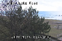 根上海岸 のカメラ画像