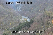 猿花 のカメラ画像