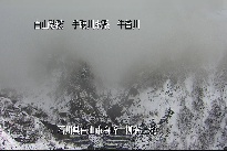 柳谷上流 のカメラ画像