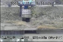 敷地天神橋(愛宕水門) のカメラ画像