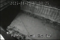 五里分新橋 のカメラ画像