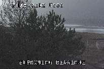 根上海岸 のカメラ画像