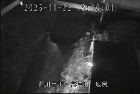 坂尻 のカメラ画像