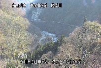 猿花 のカメラ画像