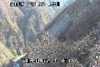 中ノ川下流 のカメラ画像