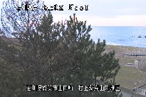 根上海岸 のカメラ画像