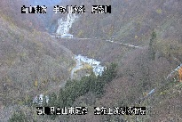 猿花 のカメラ画像