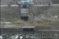 敷地天神橋(愛宕水門) のカメラ画像