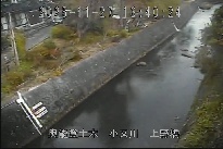 上野橋 のカメラ画像