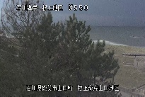 根上海岸 のカメラ画像