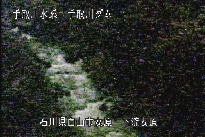 東二口 のカメラ画像