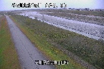 山田 のカメラ画像