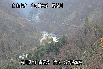 猿花 のカメラ画像