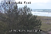 根上海岸 のカメラ画像
